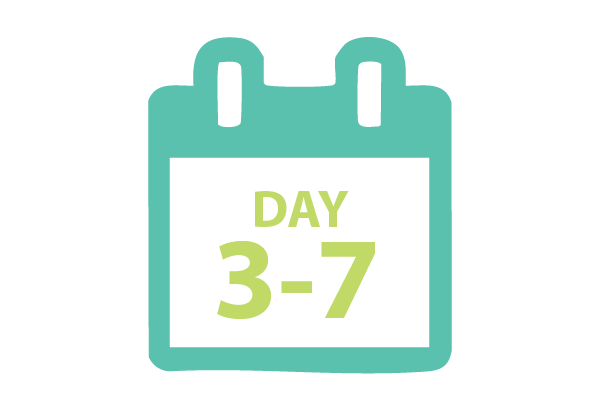 day2