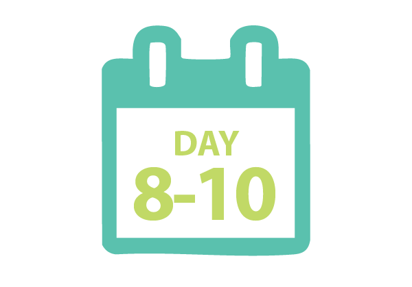 day3