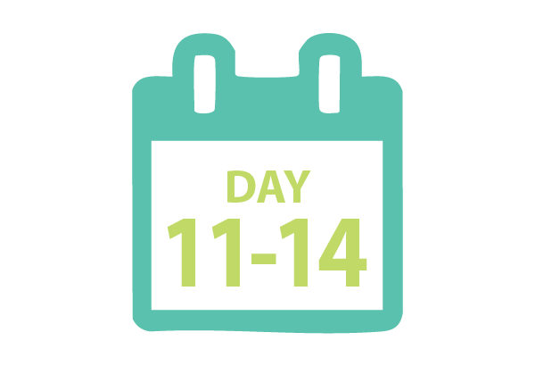 day5