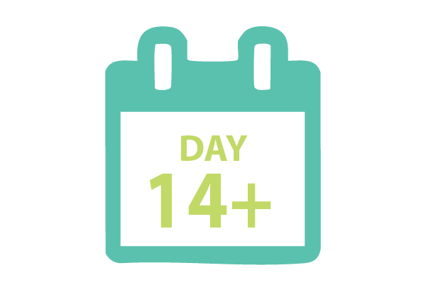 day6